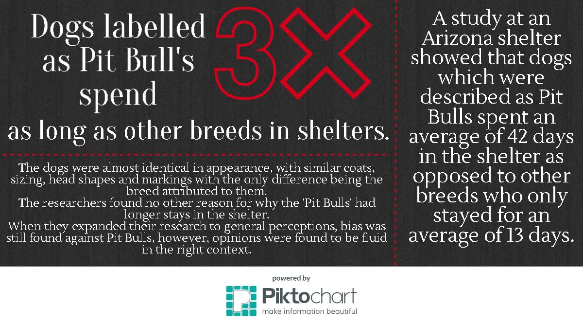 pitbulls in shelters